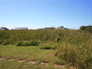 667 m² Land available in Bettys Bay