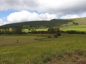 12.6 ha Farm in Boston