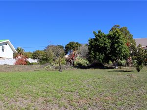 890 m² Land available in Bredasdorp