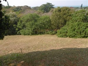 545 m² Land available in Panorama Park