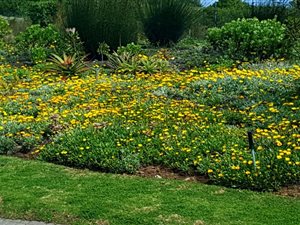 808 m² Land available in Oubaai and surrounds