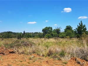 970 m² Land available in Roodeplaat