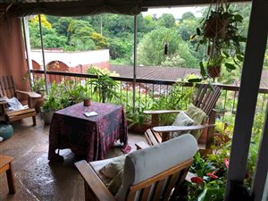 3 Bed Cluster in Montrose