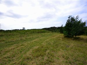 6 ha Farm in Shakas Rock