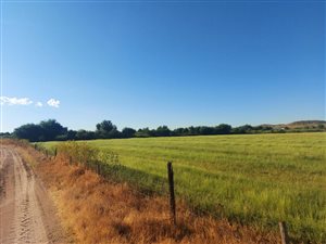 59 ha Farm in Upington