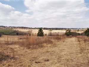 1.2 ha Land available in Sun Valley