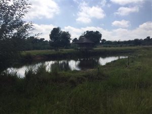 8 ha Farm in Randfontein