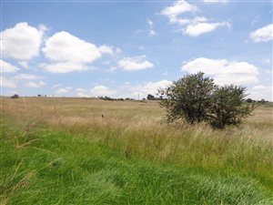 5 ha Land available in Rietfontein