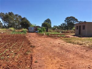 2 ha Farm in Ophir AH