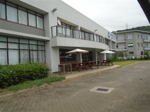 1200 m² Office Space in Newlands East