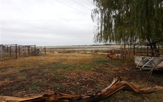 Farm in Modder River