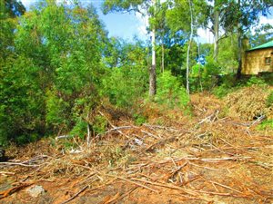 816 m² Land available in Dullstroom