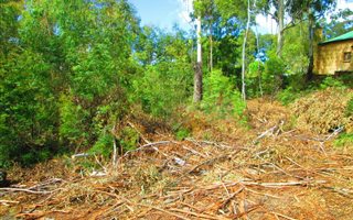 816 m² Land available in Dullstroom