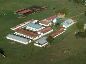 21.4 ha Farm in Bapsfontein