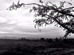 2500 m² Land available in Intaba Ridge Secure Eco Estate