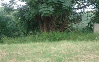 1.2 ha Land available in Reservoir Hills
