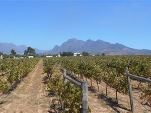 1.4 ha Land available in Paarl