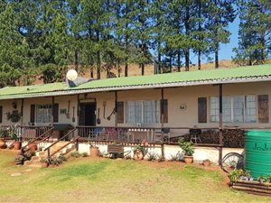 22.5 ha Farm in Lions River