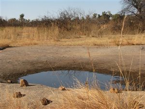 94 ha Farm in Mookgophong (Naboomspruit)