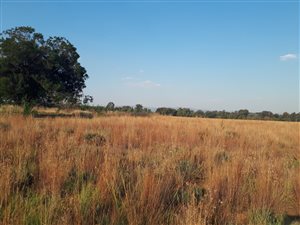 1 ha Land available in Valley Settlements AH