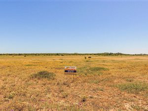 5.1 ha Farm in Vredenburg