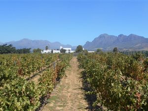 8099 m² Land available in Paarl