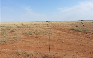 Farm in Boshof