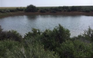 4299 ha Land available in Douglas