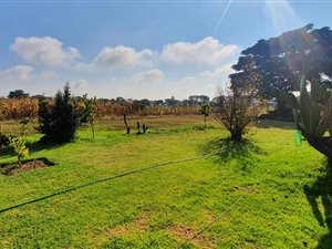 8.5 ha Farm in Heidelberg Central