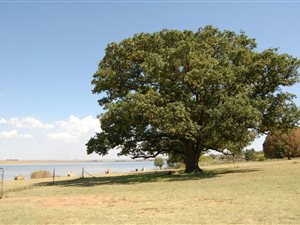 10 ha Land available in Bronkhorstbaai