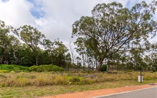 600 m² Land available in Wedgewood Golf Estate