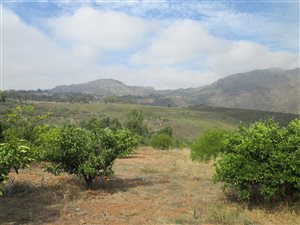 9.6 ha Farm in Piketberg