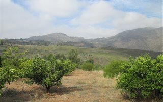9.6 ha Farm in Piketberg