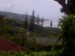 2982 m² Land available in Umzumbe