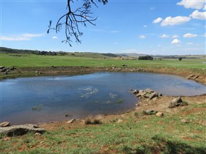 702 ha Farm in Machadodorp