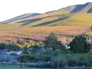 22 ha Farm in Uitenhage Central