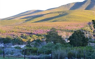 22 ha Farm in Uitenhage Central