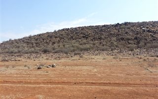Farm in Boshof