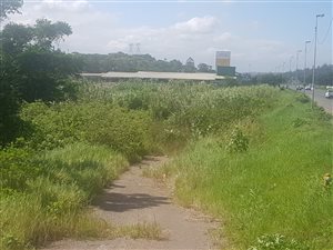 1000 m² Commercial space in Avoca