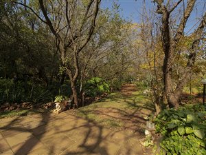 7350 m² Farm in Leeuwfontein