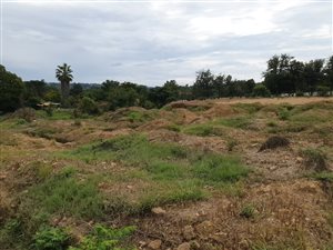 8565 m² Land available in Chartwell