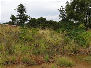 8565 m² Land available in Chartwell