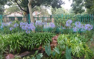 4 Bedroom House in Elarduspark
