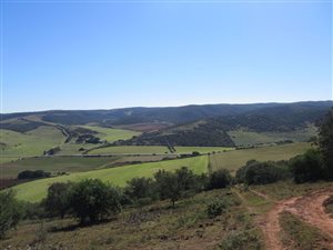 740 ha Farm in Alexandria