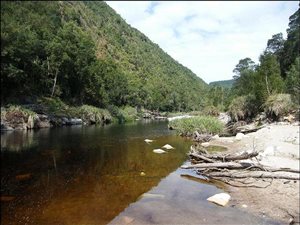 86.5 ha Land available in Rheenendal