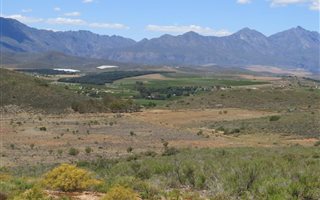 39 ha Farm in Bonnievale