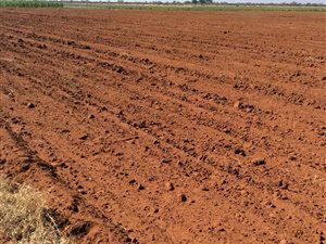 778 ha Farm in Bendor