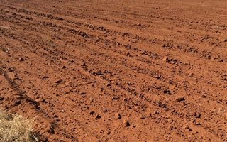 778 ha Farm in Bendor