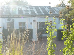1 Bed Garden Cottage in Kelvin