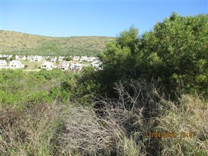 1019 m² Land available in Island View
